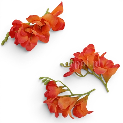 Frezja wyrobowa 24szt pomarańcz (T137-23-0641)