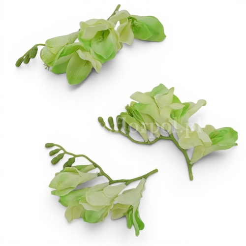 Frezja wyrobowa 24szt zielony (T137-23-0641)