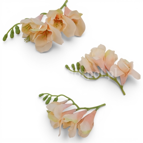 Frezja wyrobowa 24szt kremowy (T137-23-0641)