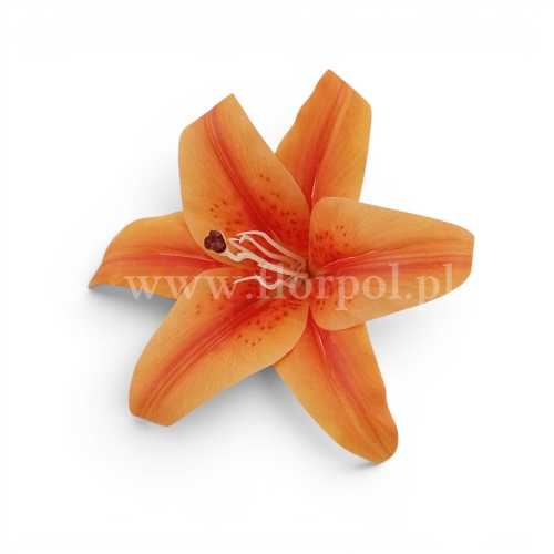 Lilia wyrobowa fi19 12szt pomarańczowy (T98-2513)