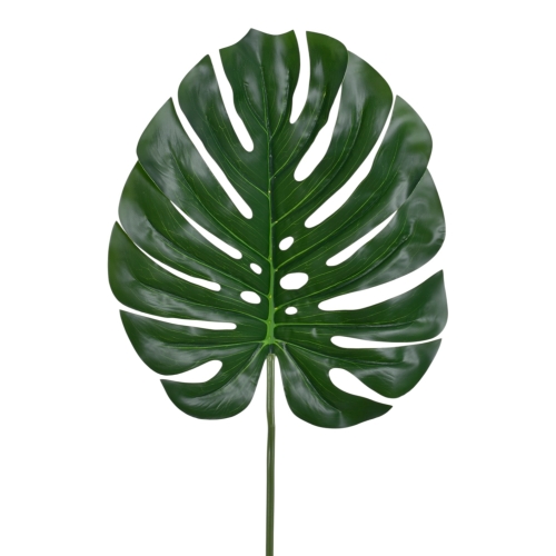 liść monstera 12szt dr.green (GREE001)