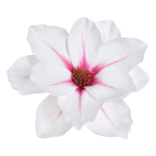 magnolia wyrobowa 12szt white/pink (WEI1007)