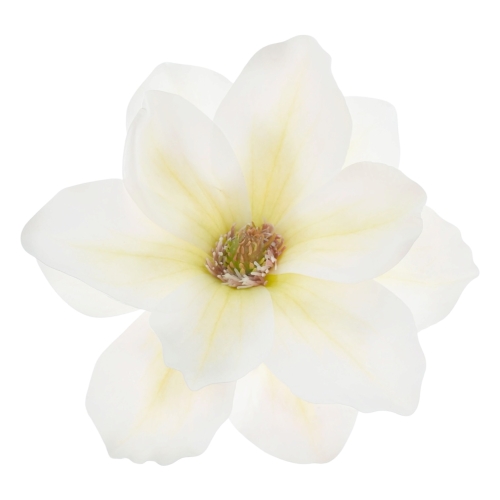 magnolia wyrobowa 12szt white/green (WEI1007)