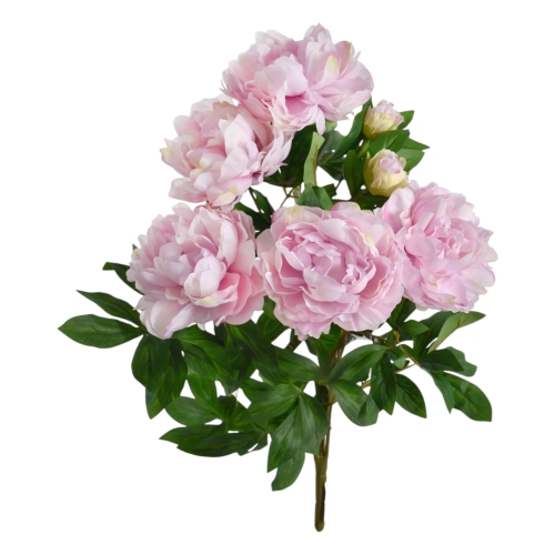 bukiet peonii 1szt #2888 powder violet  (SUN122)    A1332026A