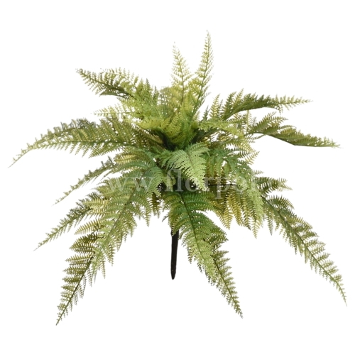 Leśna paproć - bukiet 1szt green (ERA1009)