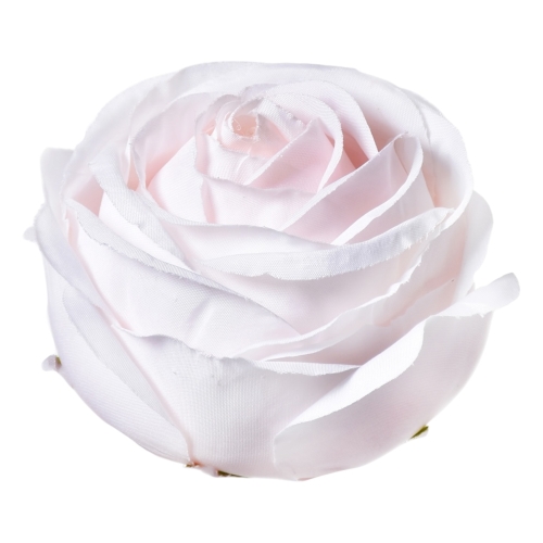 róża zwijana 12szt #2210 pearl peach  (SUN564)