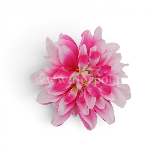 dalia cieniowana płaska 6szt róż/biel (5076)