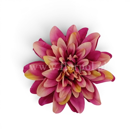 Dalia cieniowana płaska 6szt fuksja/krem/oliwka (5076)