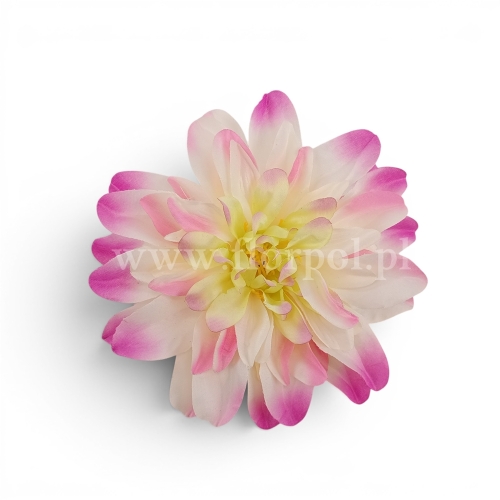 Dalia cieniowana płaska 6szt ecru/róż/pistacja