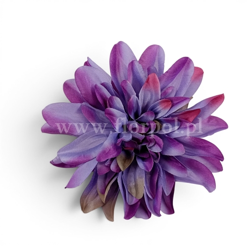 Dalia cieniowana płaska 6szt fiolet/amarant