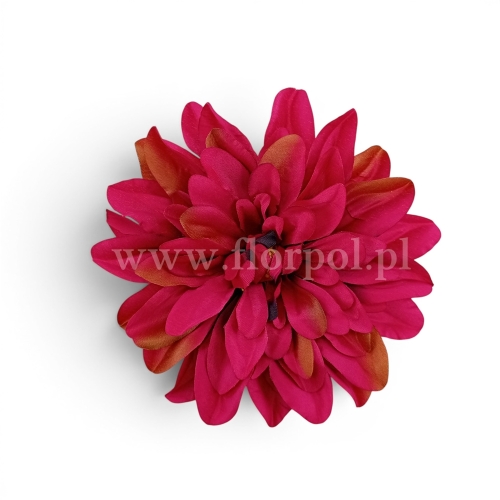 Dalia cieniowana płaska 6szt magenta/karmel (5076)