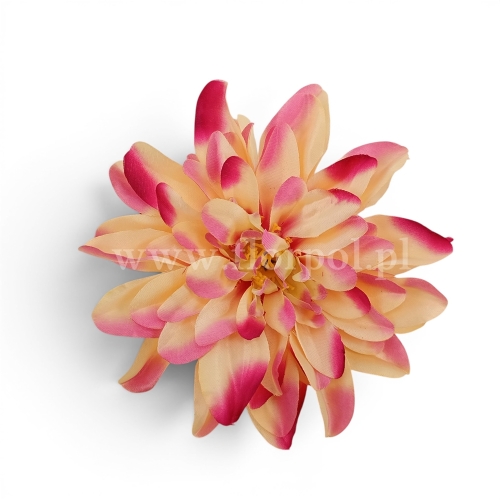 Dalia cieniowana płaska 6szt ciemny krem/róż  (5076)