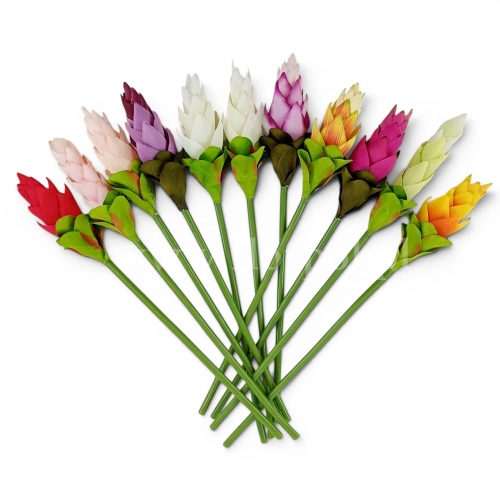 Kwiat kurkumy - karton 60szt mix (FA0405)