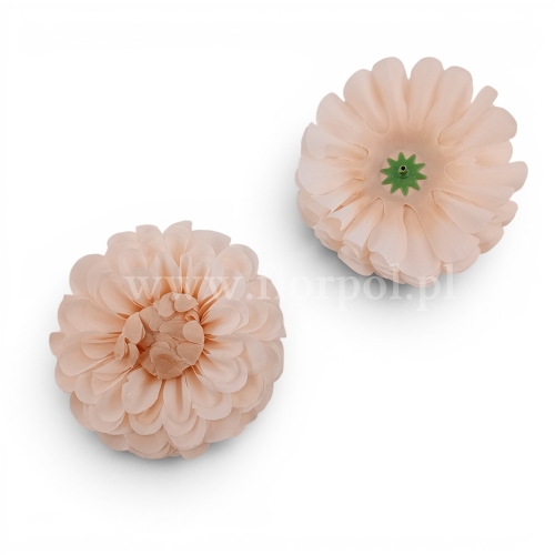 Dalia wyrobowa 12szt krem (LR210224-002)