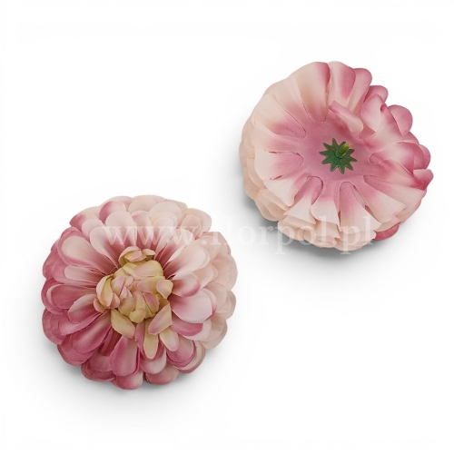 Dalia wyrobowa 12szt róż/krem (LR210224-002)