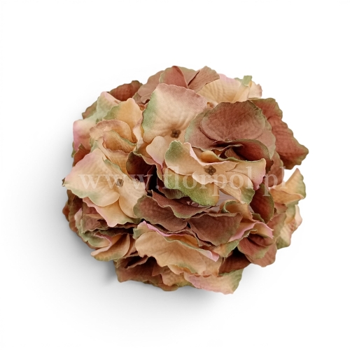 Hortensja mikropicz 1szt czekolada/krem/oliwka (FME074680)