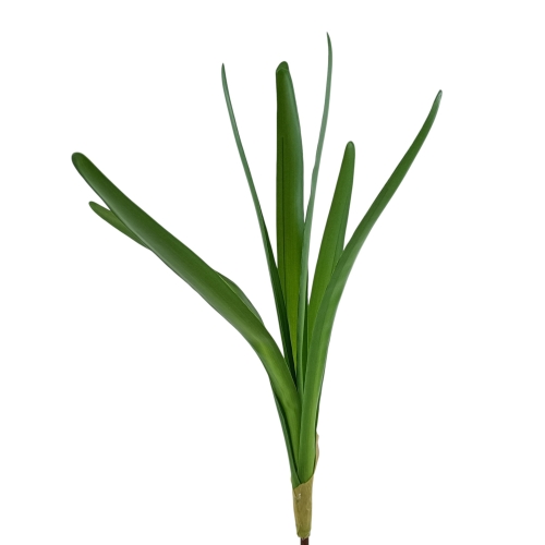 Ulistnienie do amarylisa 1szt zielony (AK33101)