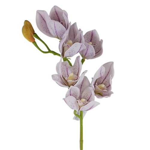 Storczyk piankowy lt.lavender (LEV016)