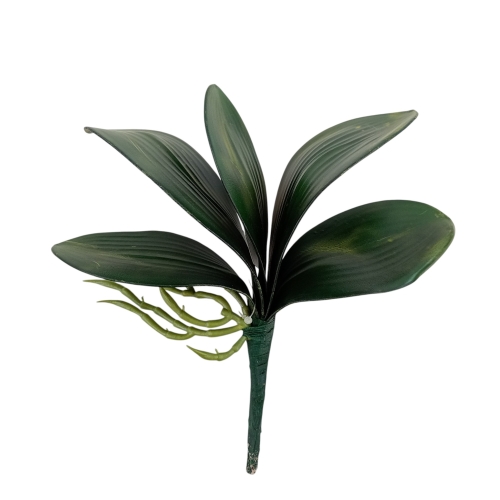 Ulistnienie do storczyka 1szt ciemny zielony (LI00499)