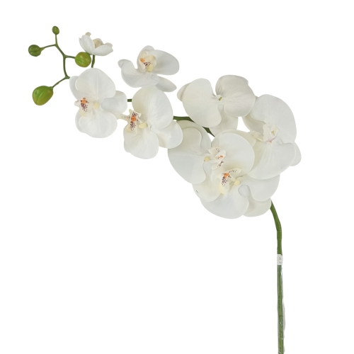 Orchidea satynowa #1431 cream (SUN315)