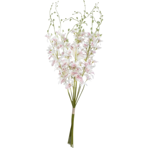 storczyk tajlandzki 12szt #2662A white beuty  (SUN668)