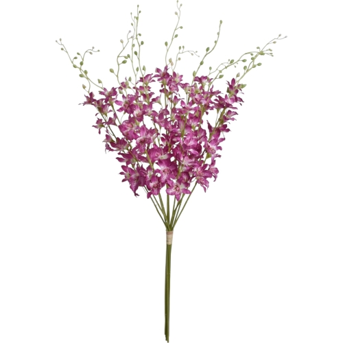 storczyk tajlandzki 12szt #399 beauty (SUN668)