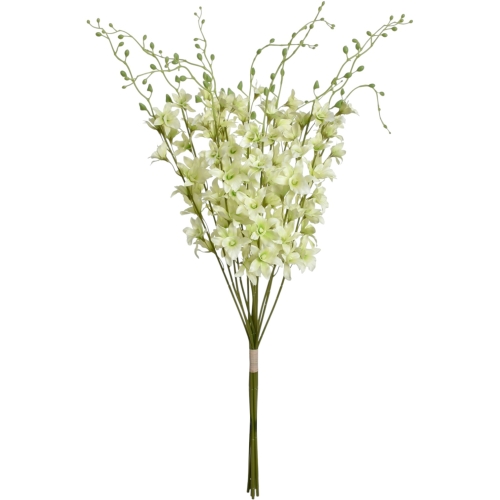 storczyk tajlandzki 12szt  #2019A mint (SUN668)