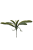 SUN553##GREEN_m.jpg