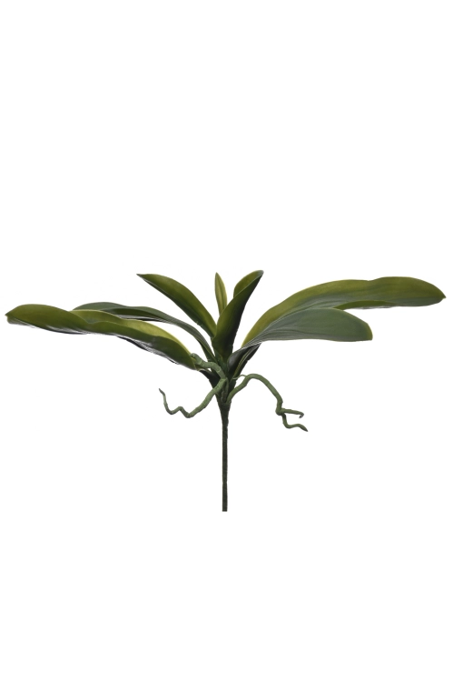SUN553##GREEN_m.jpg
