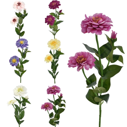 Cynia pojedyncza - karton 30szt mix 12 (SUN127)