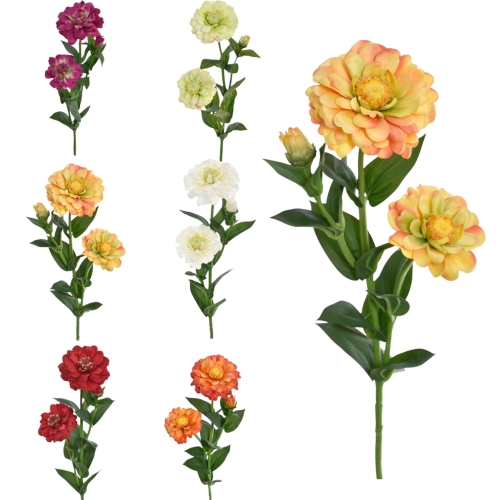 Cynia pojedyncza - karton 30szt mix 10  (SUN127)