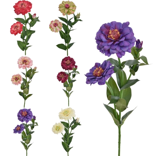 Cynia pojedyncza - karton 30szt mix 11 (SUN127)