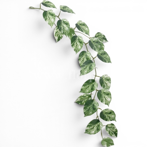 Girlanda filodendron 1szt green/white (ART IVY05)