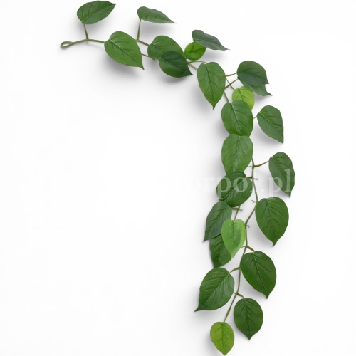 Girlanda filodendron 1szt green/lt.green (ART IVY05)