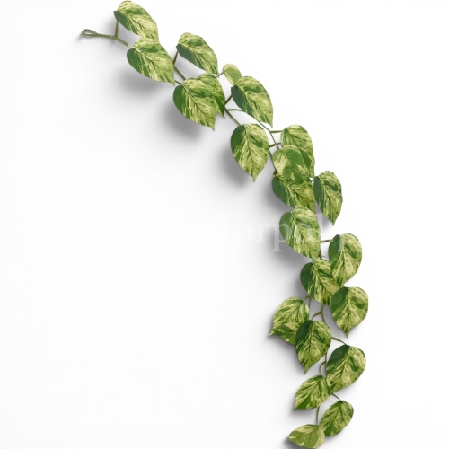 Girlanda filodendron 1szt green/yellow (ART IVY05)