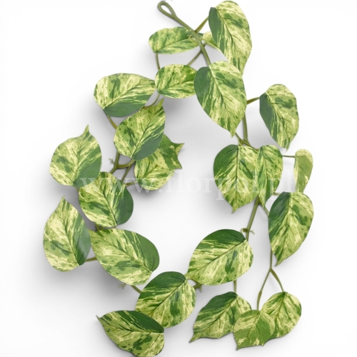 Girlanda filodendron 1szt green/yellow (ART IVY06)