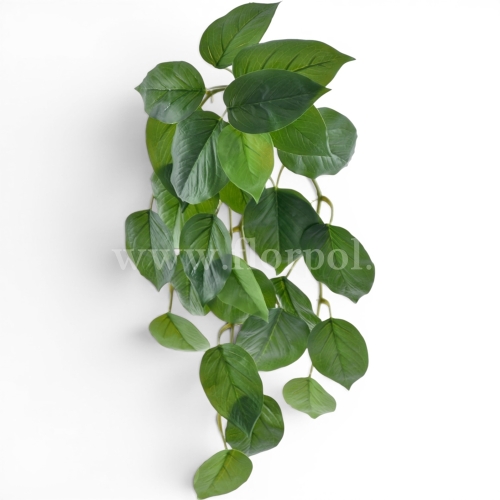 Bukiet filodendron 1szt green/lt.green (ART IVY01)