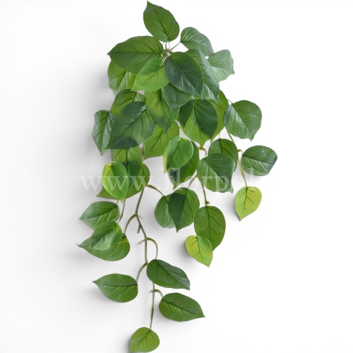 Bukiet filodendron 1szt green/lt.green (ART IVY02)