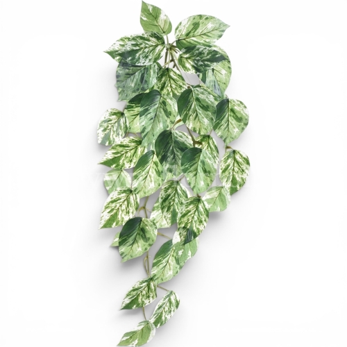 Bukiet filodendron 1szt green/white (ART IVY02)