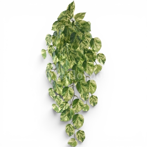 Bukiet filodendron 1szt green/yellow (ART IVY04)