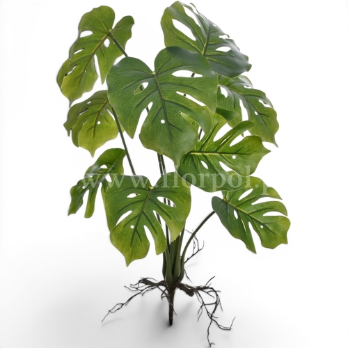 Bukiet mini monstera 1szt green  (ART IVY12)