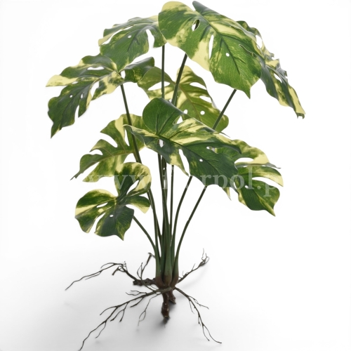 Bukiet mini monstera 1szt green/yellow (ART IVY12)