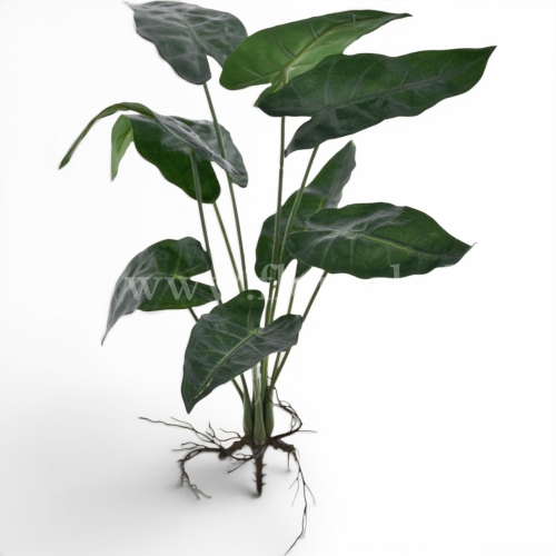 Bukiet mini monstera 1szt green  (ART IVY13)