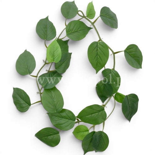 Girlanda filodendron 1szt green/lt.green (ART IVY06)