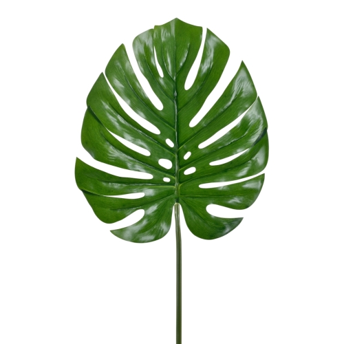 liść monstera 12szt green (GREE001)