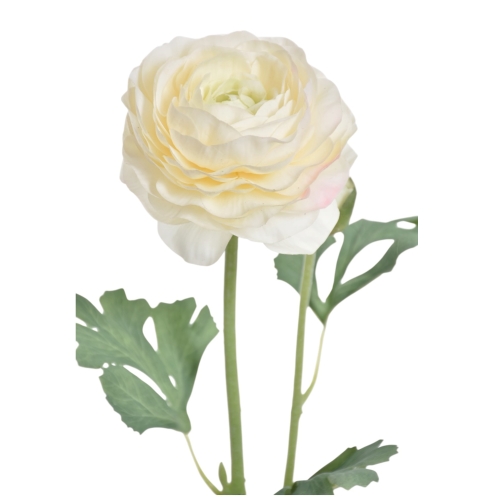 Jaskier gumowany 1szt white  (REN2003)