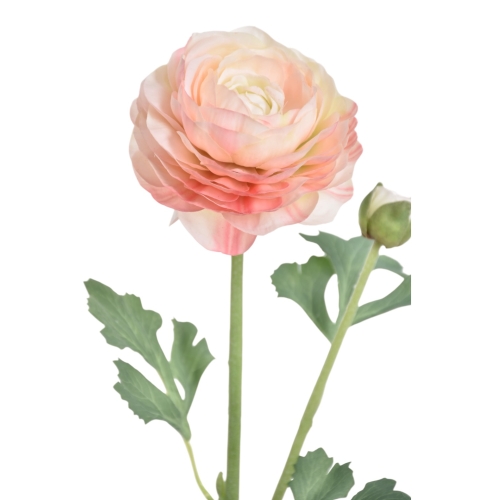 Jaskier gumowany 1szt powder pink (REN2003)