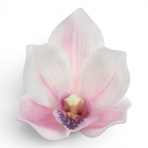 storczyk wyrobowy - pianka 12szt lt.pink (LEV017)