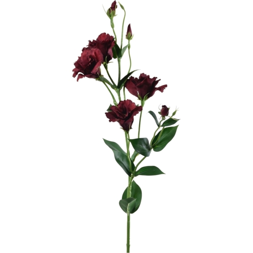 Eustoma atłasowa 7kwiatów- wysoka  1szt #3129 cherry chocolate (SUN345)