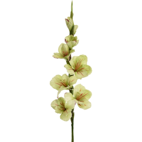 Mieczyk atłasowy 1szt #1800A green/beauty (SUN367)